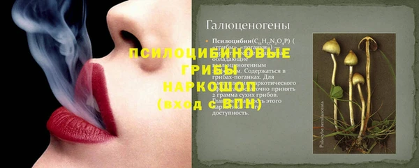 spice Баксан