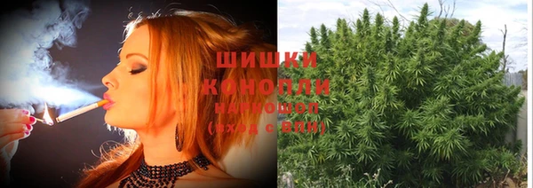 spice Баксан